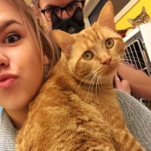 Meet your Posher, Nora